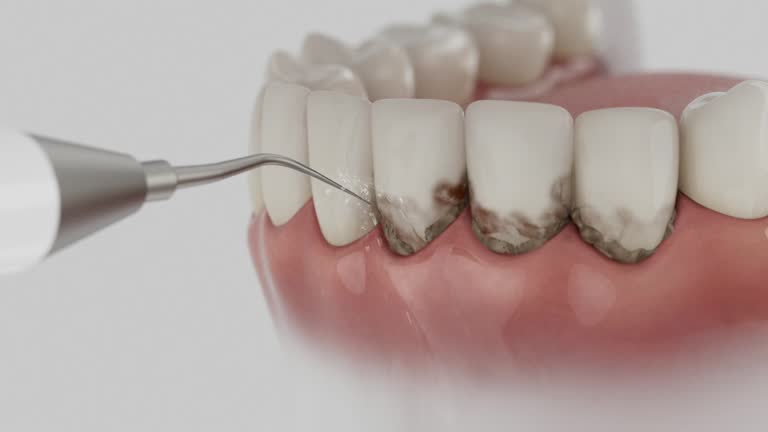 Reliable Dental contractor in Hemphill, TX by Dentist Open Now
